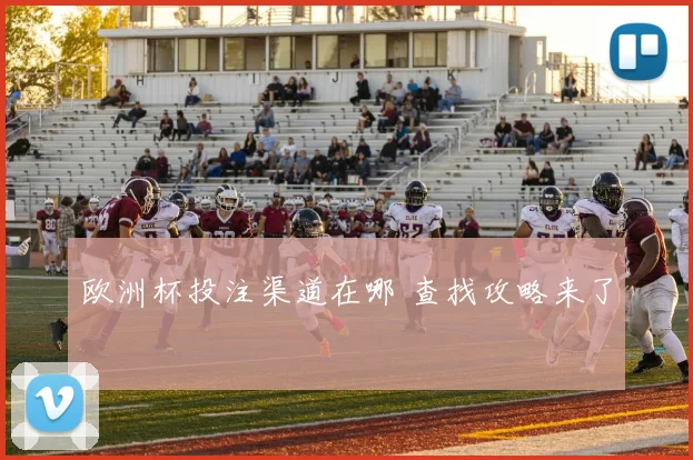 欧洲杯投注渠道在哪 查找攻略来了