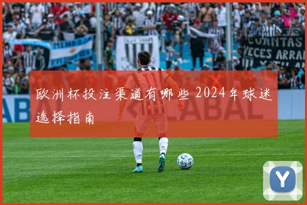 欧洲杯投注渠道有哪些 2024年球迷选择指南