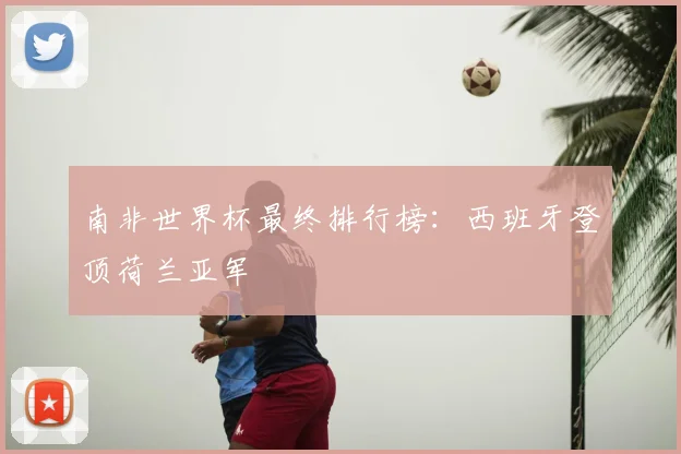 南非世界杯最终排行榜:西班牙登顶荷兰亚军