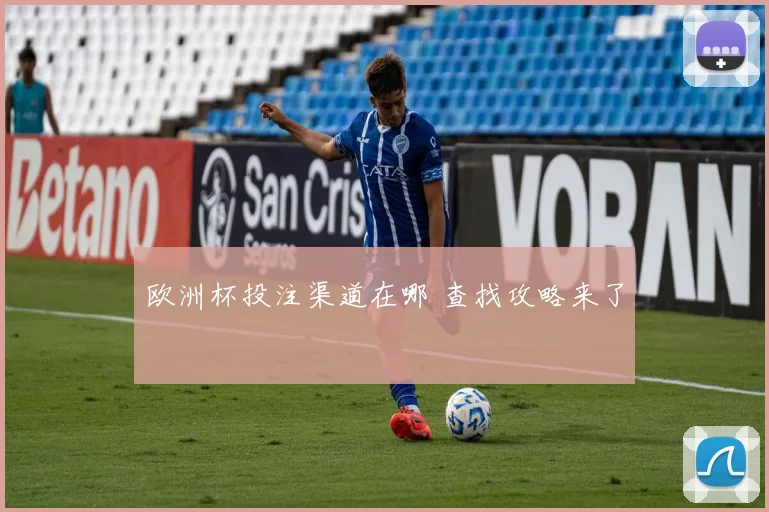欧洲杯投注渠道在哪 查找攻略来了