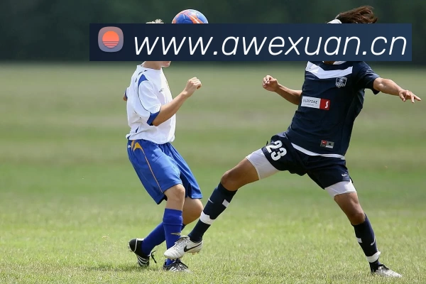 世界杯中国官网平台生态图